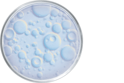 Actif dermocosmétique